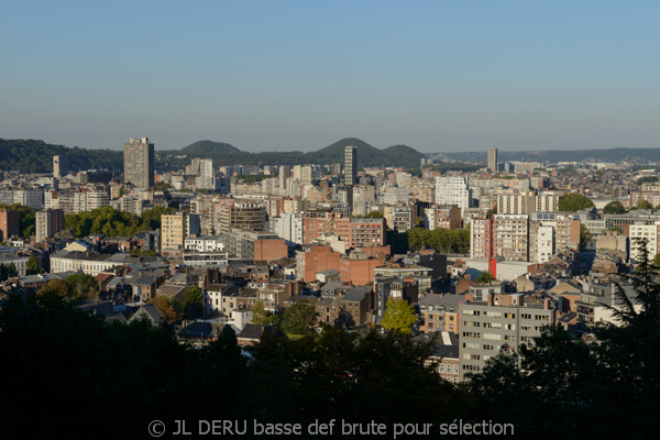 Liège - panorama